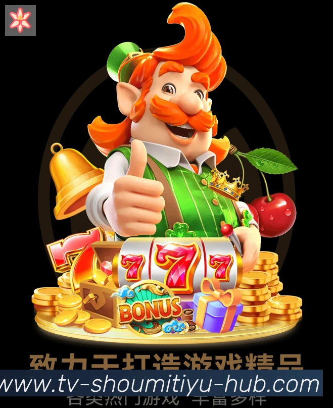奖项证书